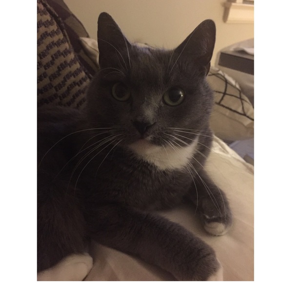 Meet your Posher, Renee - Picture 5 of 7